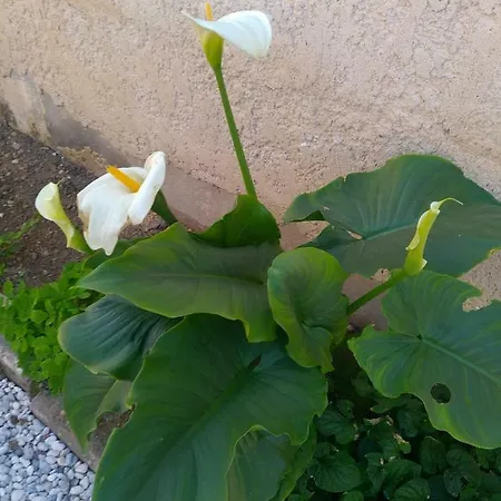 Studio Cosy Au Calme * Libourne