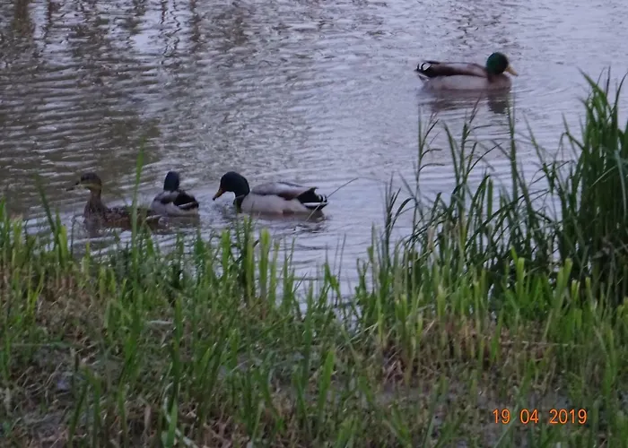 Studio Cosy Au Calme