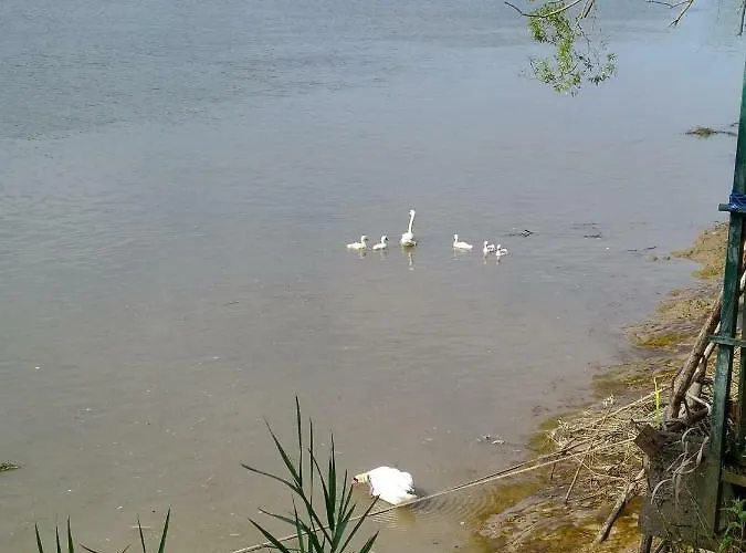 Lejlighed Studio Cosy Au Calme *